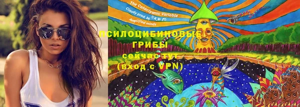 гидра Лиски