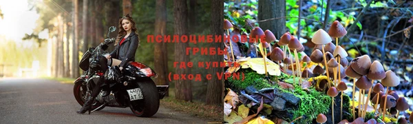 ГАЛЛЮЦИНОГЕННЫЕ ГРИБЫ Магас