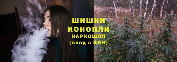 гидра Лиски