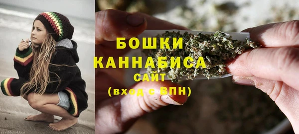 ПСИЛОЦИБИНОВЫЕ ГРИБЫ Кострома