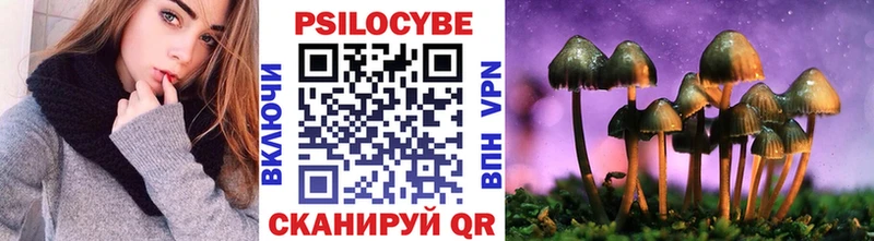 Галлюциногенные грибы Magic Shrooms  kraken рабочий сайт  Александровск  где купить  